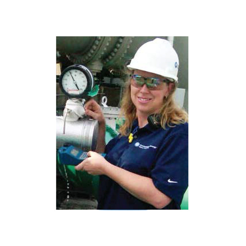 Myron L Ultrameter II Conductivity, Resistivity, TDS, ORP, Free Chlorine, pH, Temp Meter (6PFCE) - Parkway Process Solutions