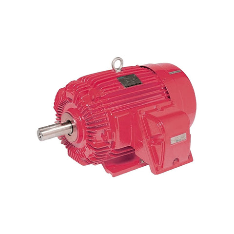 TECO IE2 Flameproof (Exd/Exde) Motors