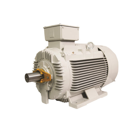 TECO MAXeV4 IE4 Super Premium Efficiency Electric Motors