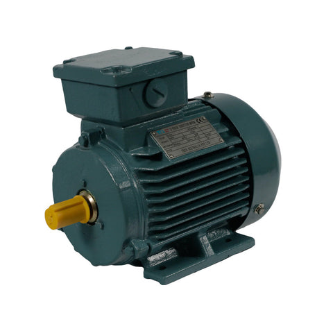 TECO Te3 Severe Duty Cast Iron 3 Phase Motors