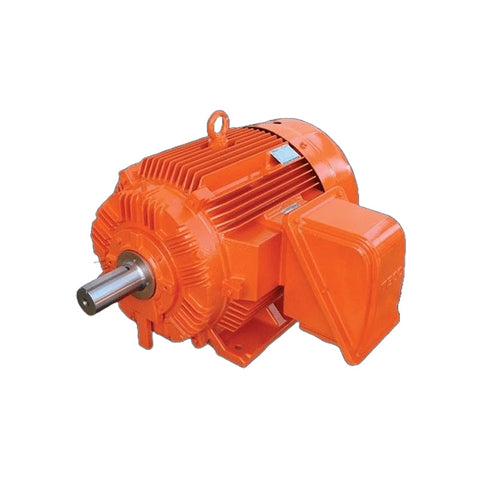 TECO MAXe3 Mining High Efficiency Electric Motors