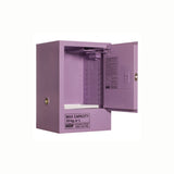 PRATT 5516ASPH Corrosive Substance Storage Cabinet (Metal) - 30L