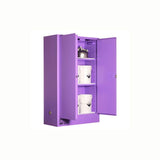 PRATT 5545ASPH Corrosive Substance Storage Cabinet (Metal) - 250L