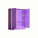PRATT 5560ASPH Corrosive Substance Storage Cabinet (Metal) - 350L