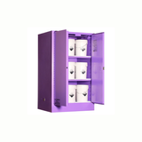 PRATT 5590ASPH Corrosive Substance Storage Cabinet (Metal) - 425L