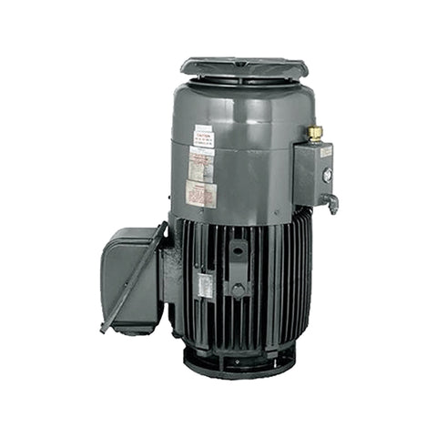 TECO AEBH Vertical Hollow Shaft Motor for Pump Applications