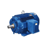 TECO MAXe3 Premium Severe Duty Motor – IP66 High Performance