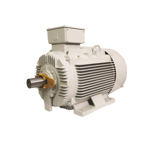 TECO MAXeV4 IE4 Super Premium Efficiency Electric Motor