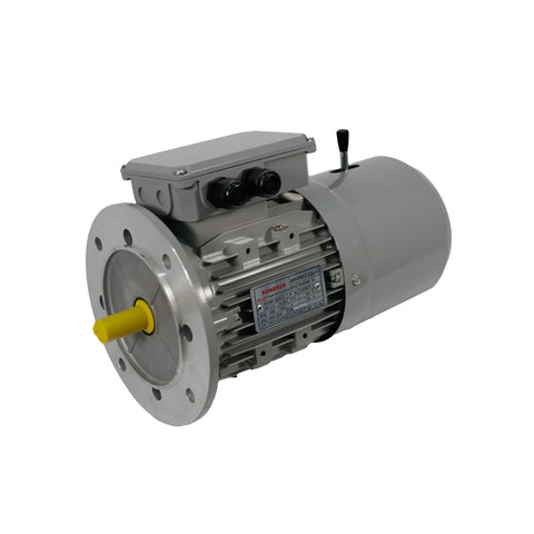 Motor Range: TECO Te3 2 Speed Cast Iron – TEFC Motors