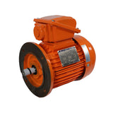 TECO MAXe3 Mining High Efficiency Electric Motors