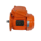 TECO MAXe3 Mining High Efficiency Electric Motors