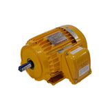 TECO MAXe3 Mining High Efficiency Electric Motors