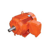 TECO MAXe3 Mining High Efficiency Electric Motors