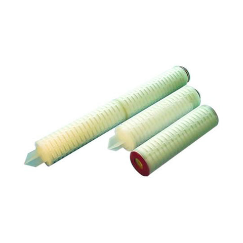 PPS 10" Pleated PP Filter Cartridge, Standard 2.5" diameter, 0.45 micron (absolute)